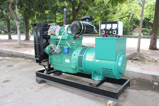 鹿寨发电机不发电的原因 鹿寨发电机不发电的原因